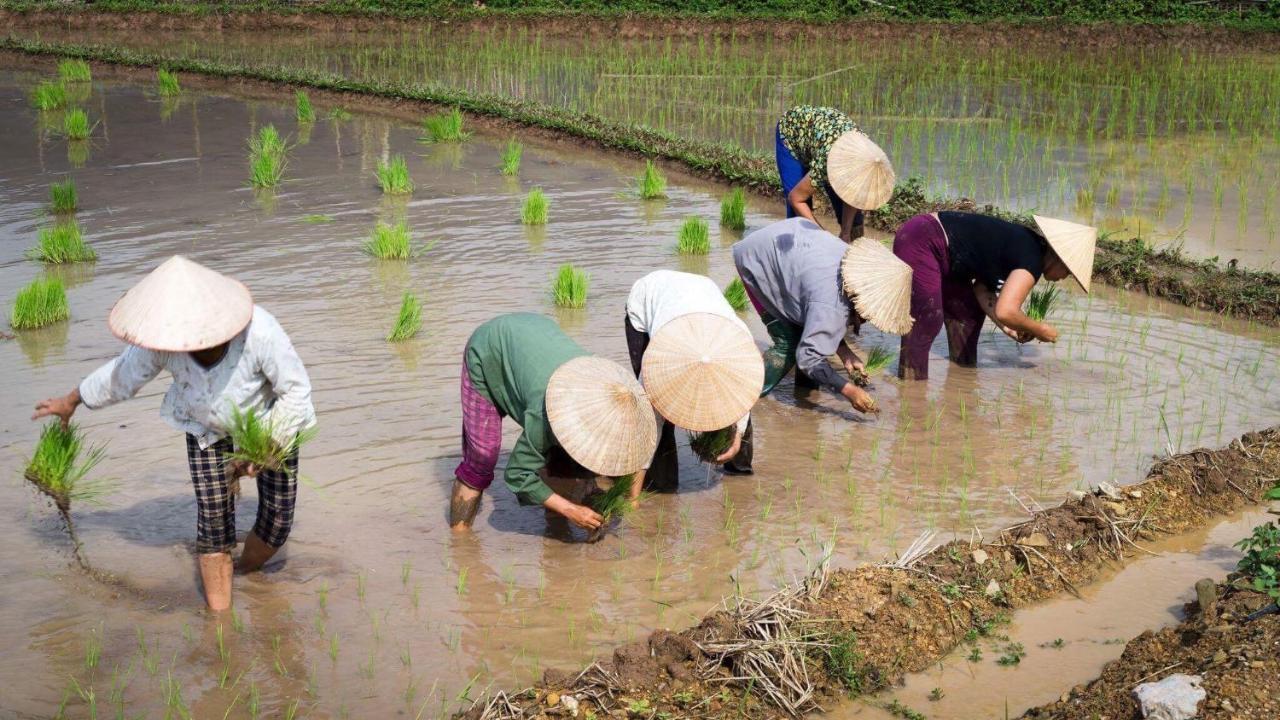 Nha Tan - Mai Chau Homestay And Tours Екстер'єр фото